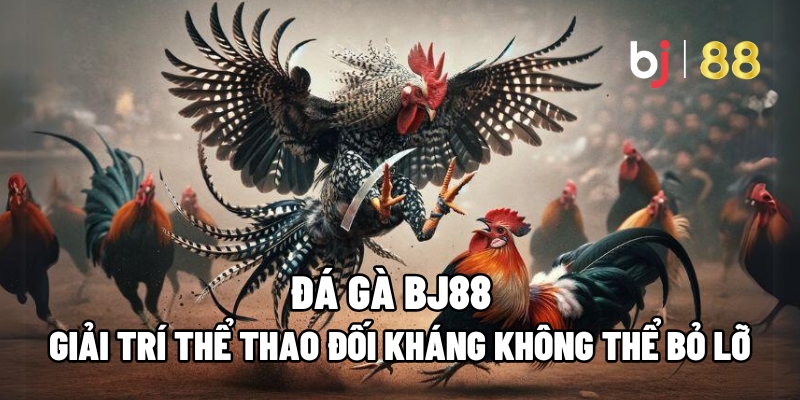 Đá Gà BJ88 – Giải Trí Thể Thao Đối Kháng Không Thể Bỏ Lỡ 1 Đá Gà BJ88