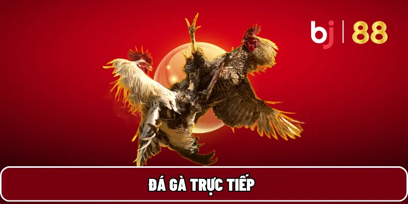 BJ88 12 Đá gà trực tiếp